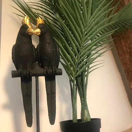 La Curiosite, Et Pop Et Chic ! Guest house Poitiers