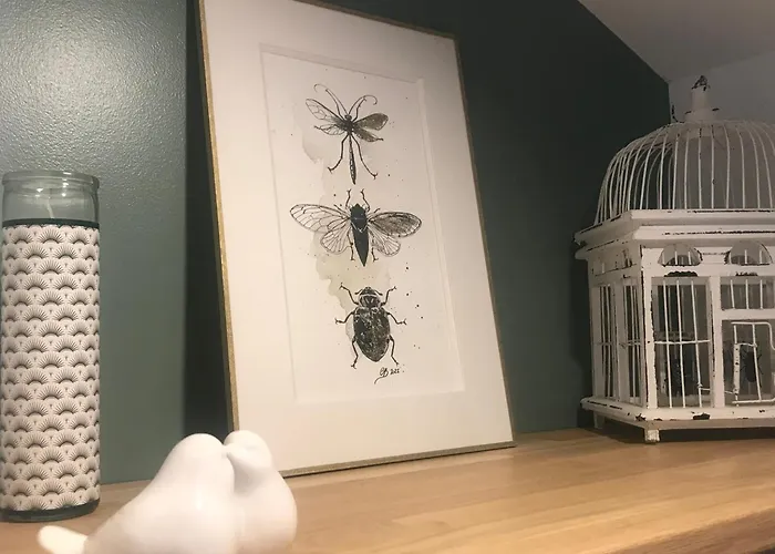 La Curiosite, Et Pop Et Chic ! Guest house Poitiers